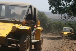 tomcar2